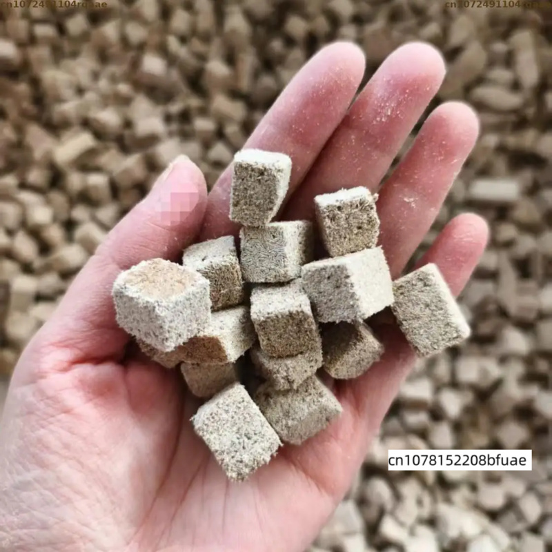 Marine Aquarium Cube - Aquarium-Fischfutter Nachfüllpack, Gefriergetrocknete Tubifex-Würfel, Protein-Ergänzung für