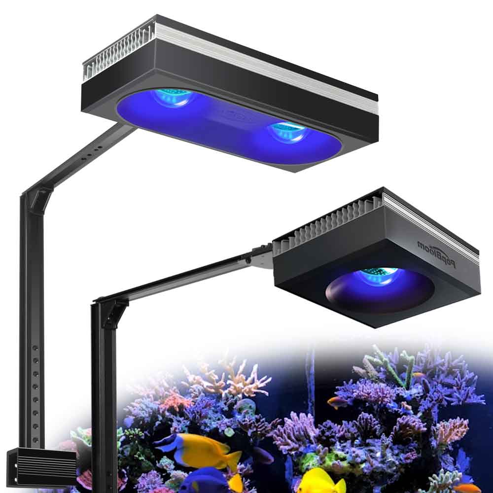PopBloom RL90/RL180 WiFi Aquar – Marine X Aquarium Bewertung und Preis