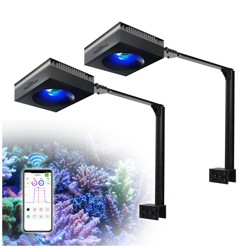 PopBloom 2 Stück RL90 LED Salz – Marine X Aquarium Bewertung und Preis