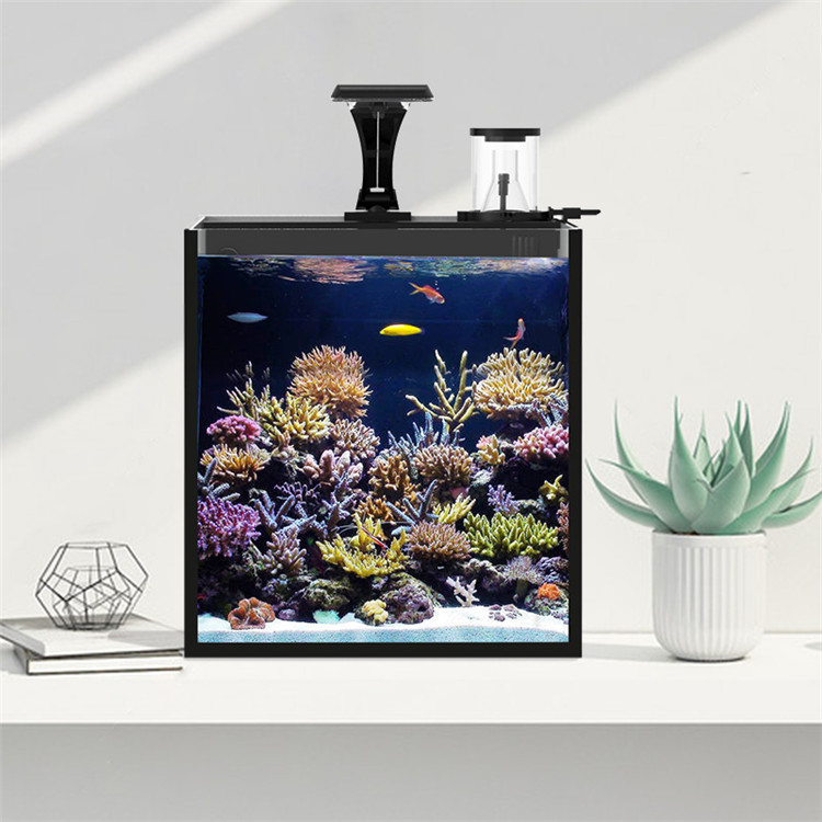 Skynuo Ultra Klares Glas Mini  – Marine Aquarium Cube Bewertung und Preis