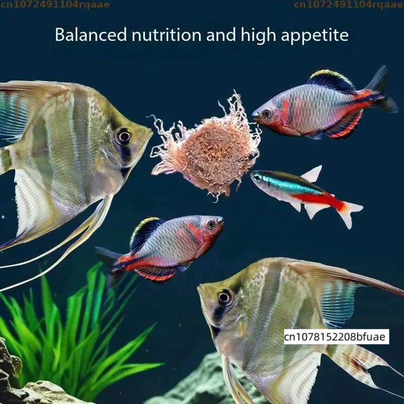 Aquarium-Fischfutter Nachfüllp – Marine Aquarium Cube Bewertung und Preis