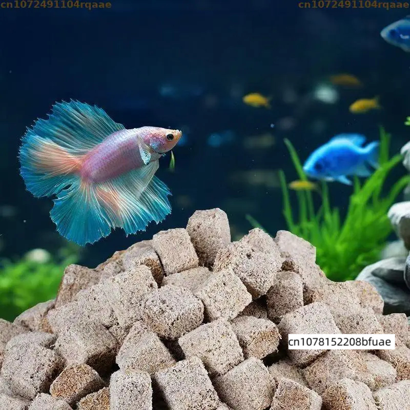 Aquarium-Fischfutter Nachfüllp – Marine Aquarium Cube Bewertung und Preis