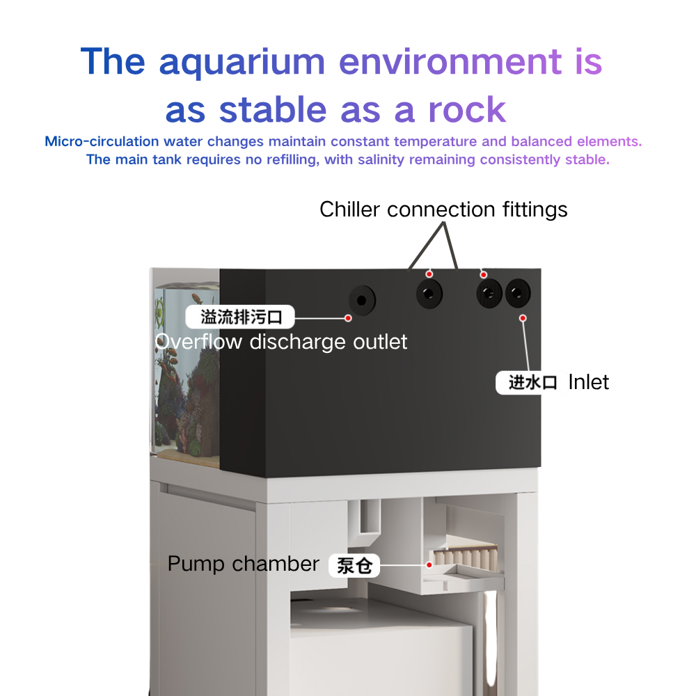 Intelligentes Aquarium Paopaos – Marine Aquarium Cube Bewertung und Preis