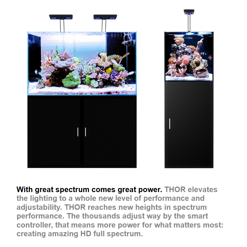 MICMOL THOR & THOR X Gen5 Smar – Marine X Aquarium Bewertung und Preis