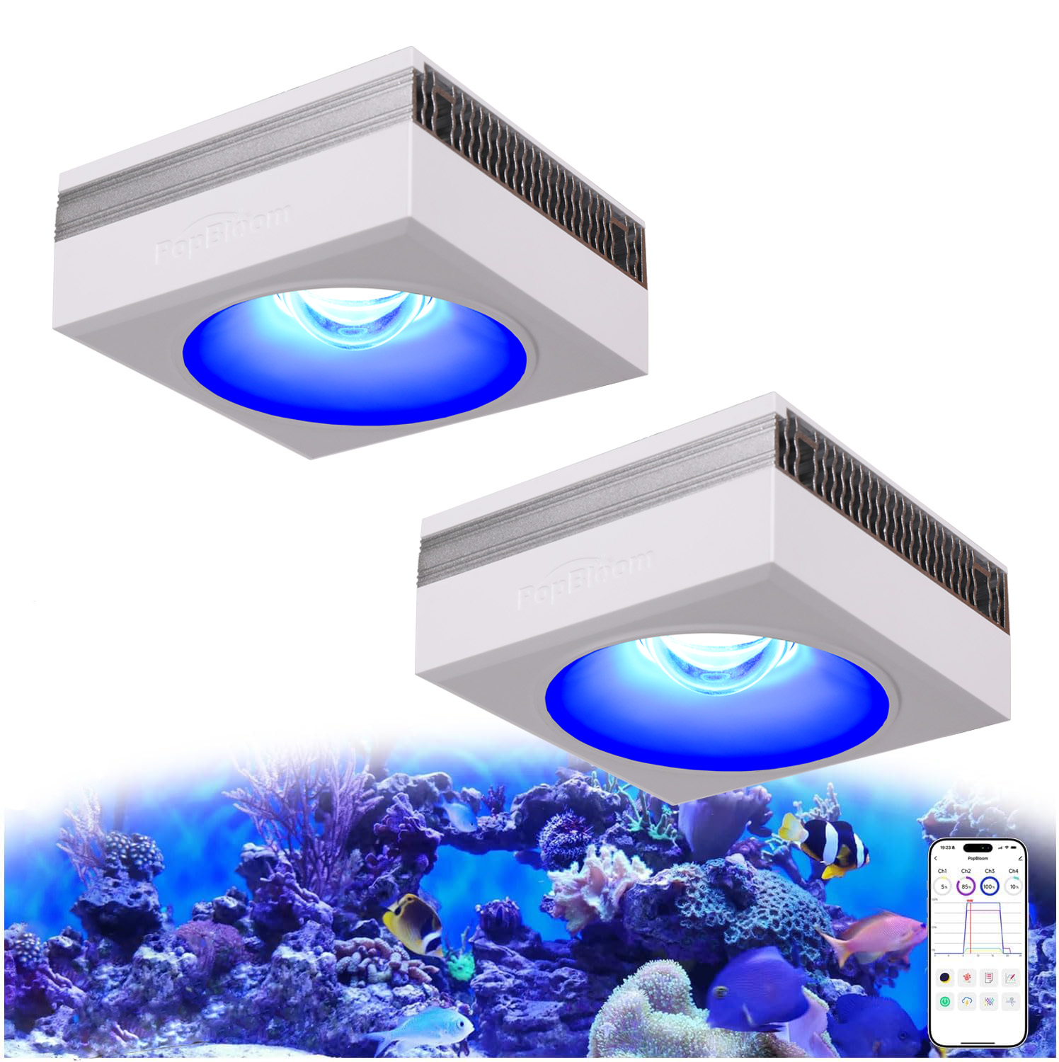 NEUE PopBloom RL90 WiFi LED-Aq – Marine X Aquarium Bewertung und Preis