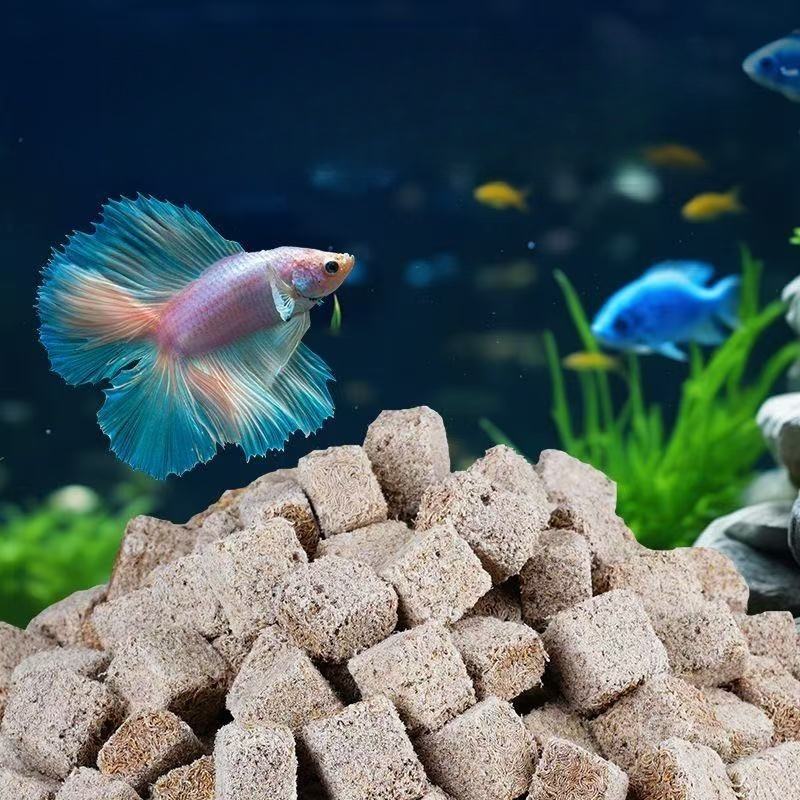 Natürliche gefriergetrocknete  – Marine Aquarium Cube Bewertung und Preis
